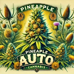 PINEAPPLE AUTO (PACK 2UN)