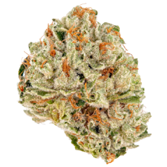 Wedding OG ( pack 2UN) na internet