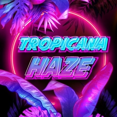 TROPICANA HAZE (PACK 3UN)