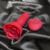 Florinda | Vibrador com Vai e Vém (com controle remoto) - comprar online