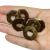 Disquinho De Resina - 22mm - 8 unidades - loja online