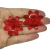 Flor de Acrílico - 39mm - Vermelho Transparente - 10 unidades