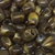 Tubinho de Resina - 20x15mm - 4 unidades