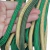 Combo Corda - 8mm - Dourado, Verde Militar e Verde Bandeira - comprar online