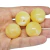 Conta de Resina - 26mm - 4 unidades - loja online