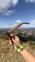 Óculos Ilha da Madeira - Marrom - Manzoni Glasses