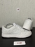 NIKE DUNK LOW PRO BRANCO na internet