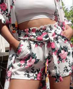 Conjunto Julia en internet