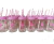 5 Frascos Flamencos Rosas Colores Vasos Souvenirs Sorbetes