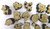 20 Zorros Mdf 10cm + 20 Honguitos 6cm Fibrofacil Mdf Madera - Tienda Flor Creaciones