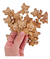 40 Animales Del Bosque Zorro Fibrofacil Mdf Souvenirs 5cm