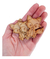 40 Animales Del Bosque Zorro Fibrofacil Mdf Souvenirs 5cm - comprar online