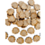 20 Formas Ostras Mar 5cm Fibrofacil Mdf Figura Souvenirs - Tienda Flor Creaciones