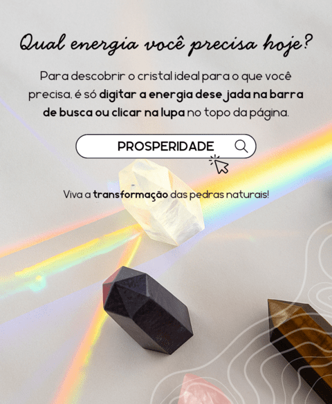 Carrossel 1