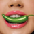 GREENCHILLI FRAN BY FRANCINY EHLKE EDIÇÃO LIMITADA - loja online