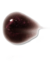 Imagem do LIP OIL SHINE FLOWERS NIINA SECRETS