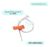 Imagen de Equipo Pericraneal Aguja Butterfly Mariposa X 100 Unidades