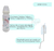 Combo Mamadera Natural Cinturada + Cepillo Limpia Mamadera - comprar online