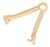 Clamp Para Cordon Umbilical Caja X50 Unidades Euromix