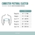 Corrector Postural Espaldera Dema Escolisis Cifosis Espalda - Fix Salud Shop