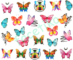 MARIPOSAS AGUA