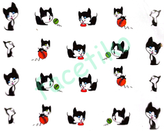GATOS AGUA