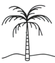 Setai