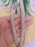 TIRA STRASS MEIA CANA 10MM ROSE (METRO) (20832) na internet