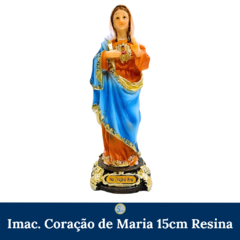 Imaculado Coração de Maria 15cm Resina - comprar online