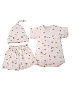 Conjunto wonderful en internet