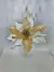 Poinsetia Decorativa Off White e Dourado 39cm