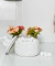 Ovos Decorativos Branco 3cm c/36 un - comprar online