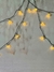 Led Bolinha 40 Leds Branco Quente 6M 110 Volts Estático com Conector - comprar online