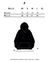 HOODIE ROAS en internet
