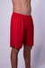 SHORTS NOVA COLEÇÃO | 2025