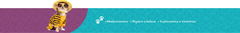 Banner da categoria Acessórios e Outros