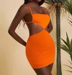 Vestido Zara na internet