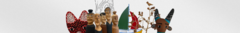 Banner da categoria ILHA DO FERRO