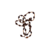 COLAR 02 - INDÍGENA
