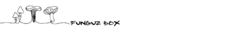 Banner da categoria Funguz Box