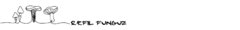 Banner da categoria Refil