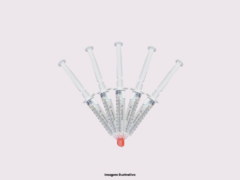 Cultura líquida de P. cubensis var. Penis Envy PLUS (07) - 1und.