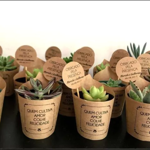Rótulos Para Suculentas + Tag Personalizadas - 50 Unidades