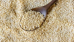 Quinoa em Grãos Branca 500g na internet