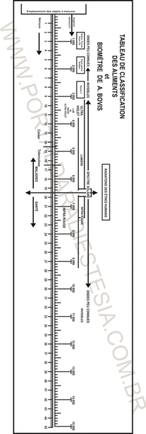 Biômetro De Bovis - régua para medições - radiestesia - radionica