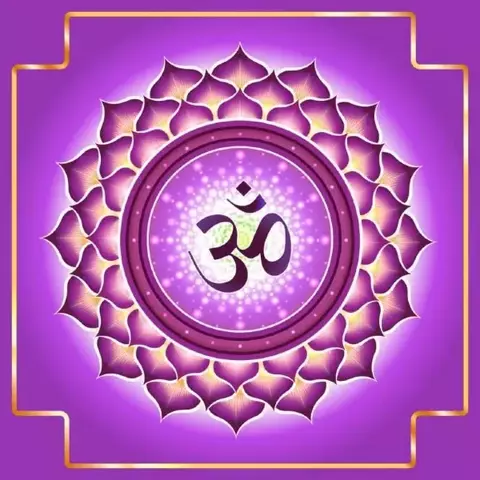 Chakras - Coronário, Frontal, Laringeo, Cardíaco, Plexo Solar e Básico - pvc