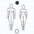 Figura Humana ou corpo humano homem e mulher - frente - harmonização de casais