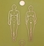 Figura Humana ou corpo humano homem e mulher -frente - harmonização de casais - cobre