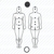 Figura Humana ou Corpo Humano homem frente e costas - radiestesia