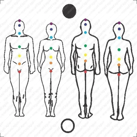 Figura humana ou Corpo Humano Homem e Mulher frente e Costas - reiki